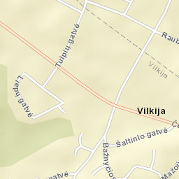 Vilkija Street Map