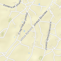 Starokamyshinsk Street Map