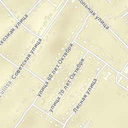 Tolmachëvo Street Map
