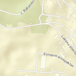 Aleksotas Street Map