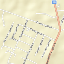 Vievis Street Map