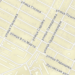 Berdsk Street Map