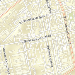Naujamiestis Street Map