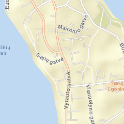 Trakai Street Map