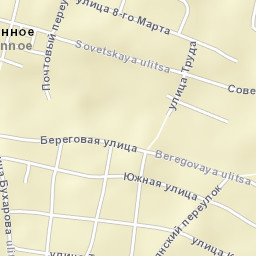 Tselinnoye Street Map