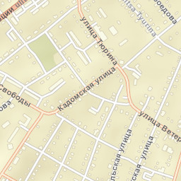 Sasovo Street Map