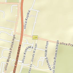 Pruszcz Gdański Street Map
