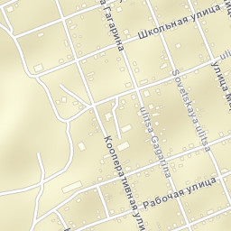 Salair Street Map