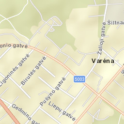 Varėna Street Map