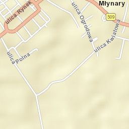 Młynary Street Map