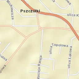 Pszczółki Street Map