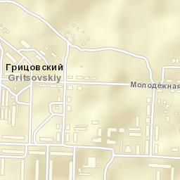 Gritsovskiy Street Map