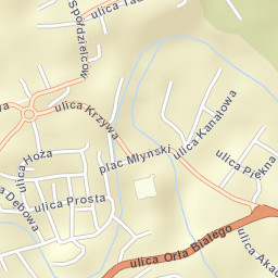 Lidzbark Warmiński Street Map