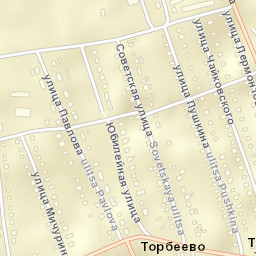 Torbeyevo Street Map