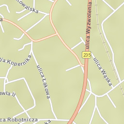 Dziemiany Street Map