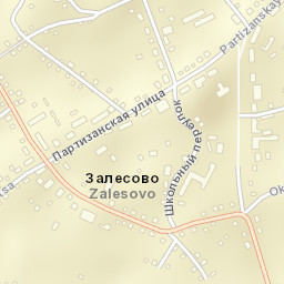 Zalesovo Street Map