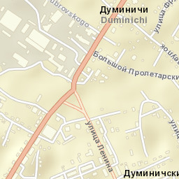 Duminichi Street Map