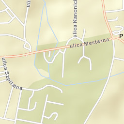Pelplin Street Map