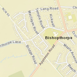 Bishopthorpe Street Map