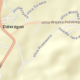 Dzierzgoń Street Map