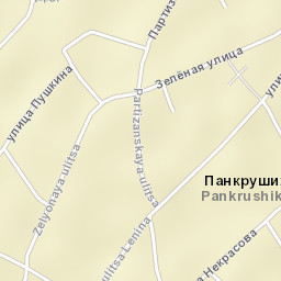 Pankrushikha Street Map