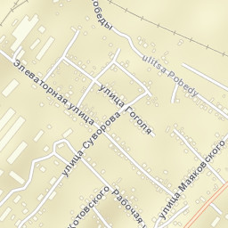 Zarinsk Street Map