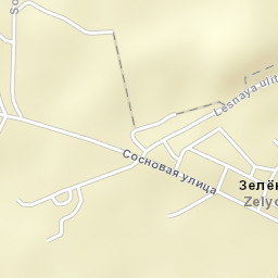 Zelënyy Bor Street Map