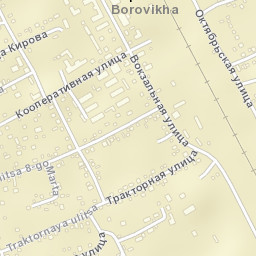 Borovikha Street Map