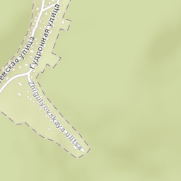 Zol’noye Street Map