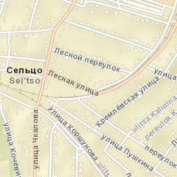 Sel’tso Street Map