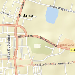 Nidzica Street Map