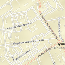 Shushenskoye Street Map