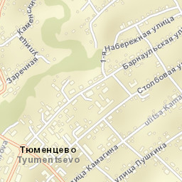 Tyumentsevo Street Map