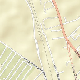 Działdowo Street Map