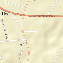 Ślesin Street Map