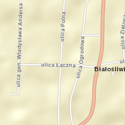 Białośliwie Street Map