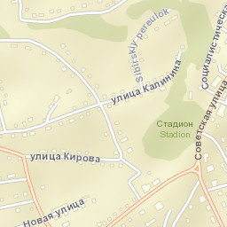 Tselinnoye Street Map
