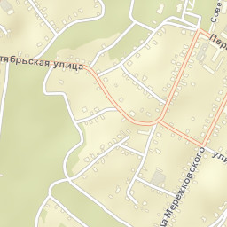 Mglin Street Map