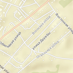 Borskoye Street Map