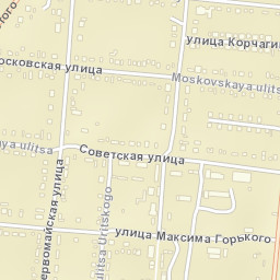 Slavgorodskoye Street Map