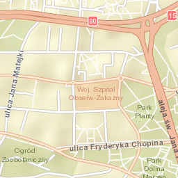 Toruń Street Map