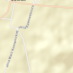 Lutocin Street Map