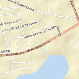 Margonin Street Map