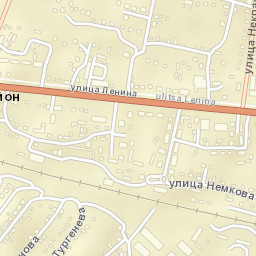 Naryshkino Street Map