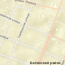 Belinskiy Street Map