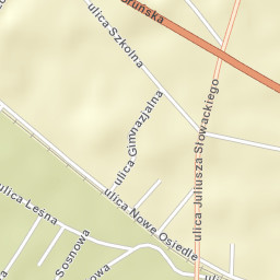 Czernikowo Street Map