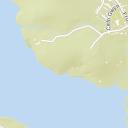 Trawsfynydd Street Map