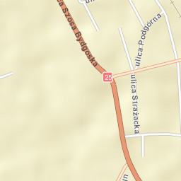 Złotniki Kujawskie Street Map
