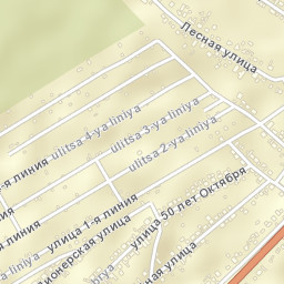 Znamenka Street Map