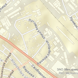 Michurinsk Street Map